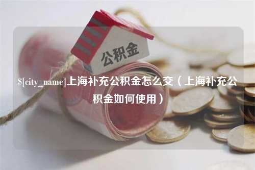 临海上海补充公积金怎么交（上海补充公积金如何使用）